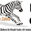 Thuật toán Zebra là gì?