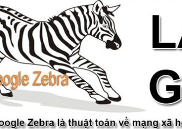 Thuật toán Zebra là gì?