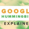 Ảnh hưởng của thuật toán Hummingbird với SEO