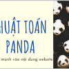 Thuật Toán Google Panda Và Ảnh Hưởng Đến Chất Lượng Nội Dung
