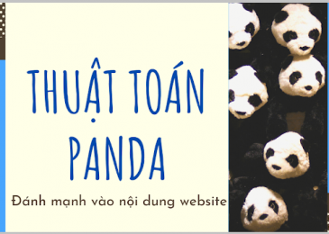 Thuật Toán Google Panda Và Ảnh Hưởng Đến Chất Lượng Nội Dung